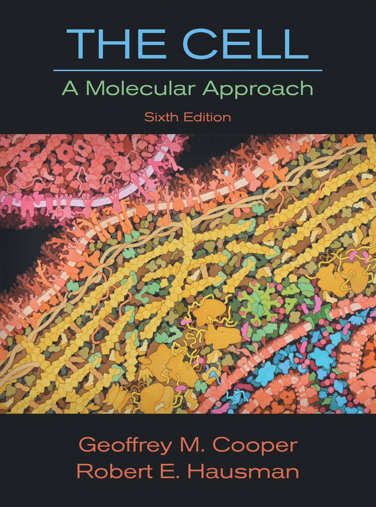 The Cell: A Molecular Approach, Sixth Edition (Looseleaf),Used
