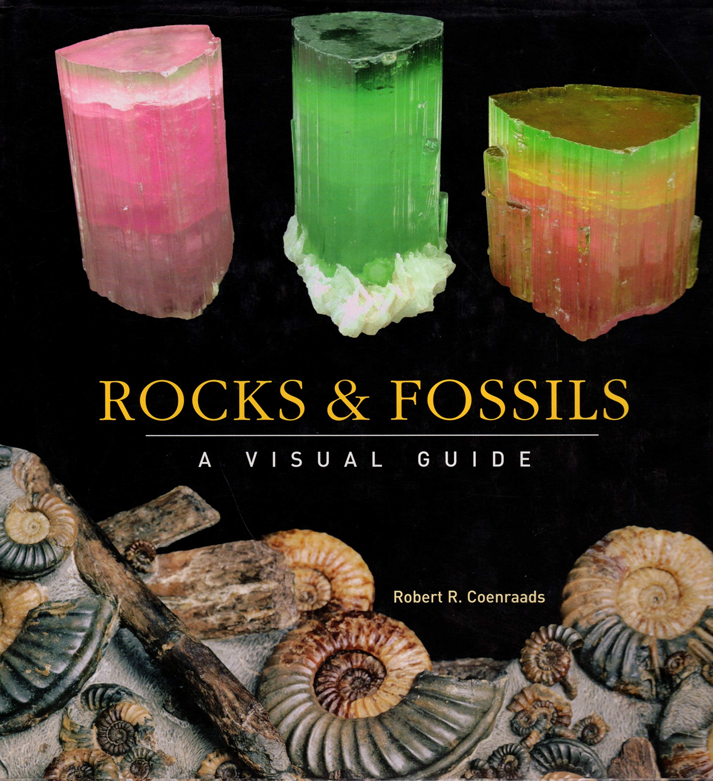 Rocks and Fossils: A Visual Guide (Visual Guides),Used