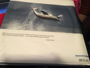 Great White: The Majesty Of Sharks