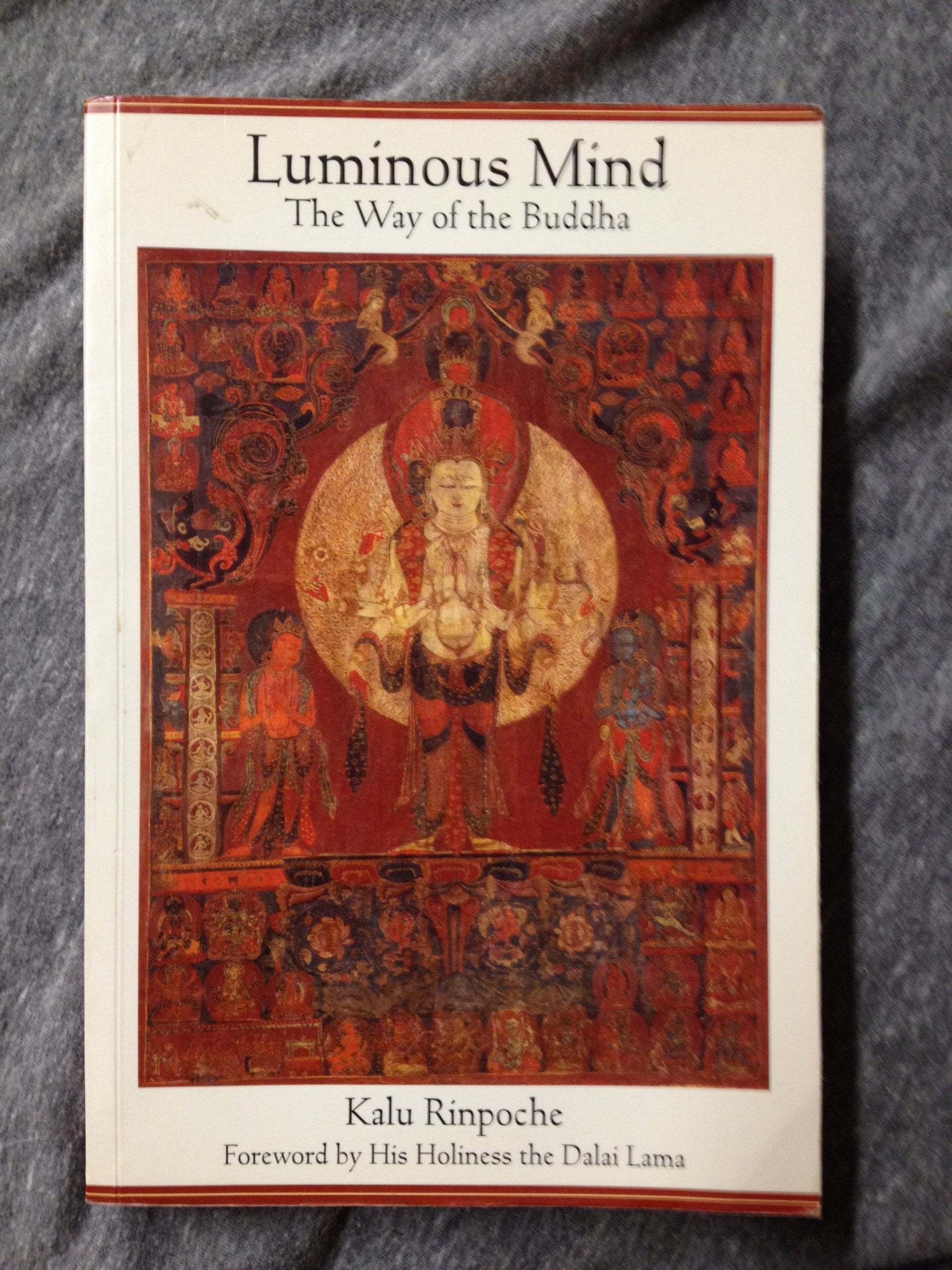 Luminous Mind: The Way Of The Buddha,Used