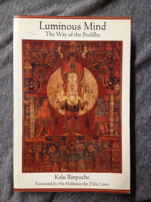 Luminous Mind: The Way Of The Buddha,Used