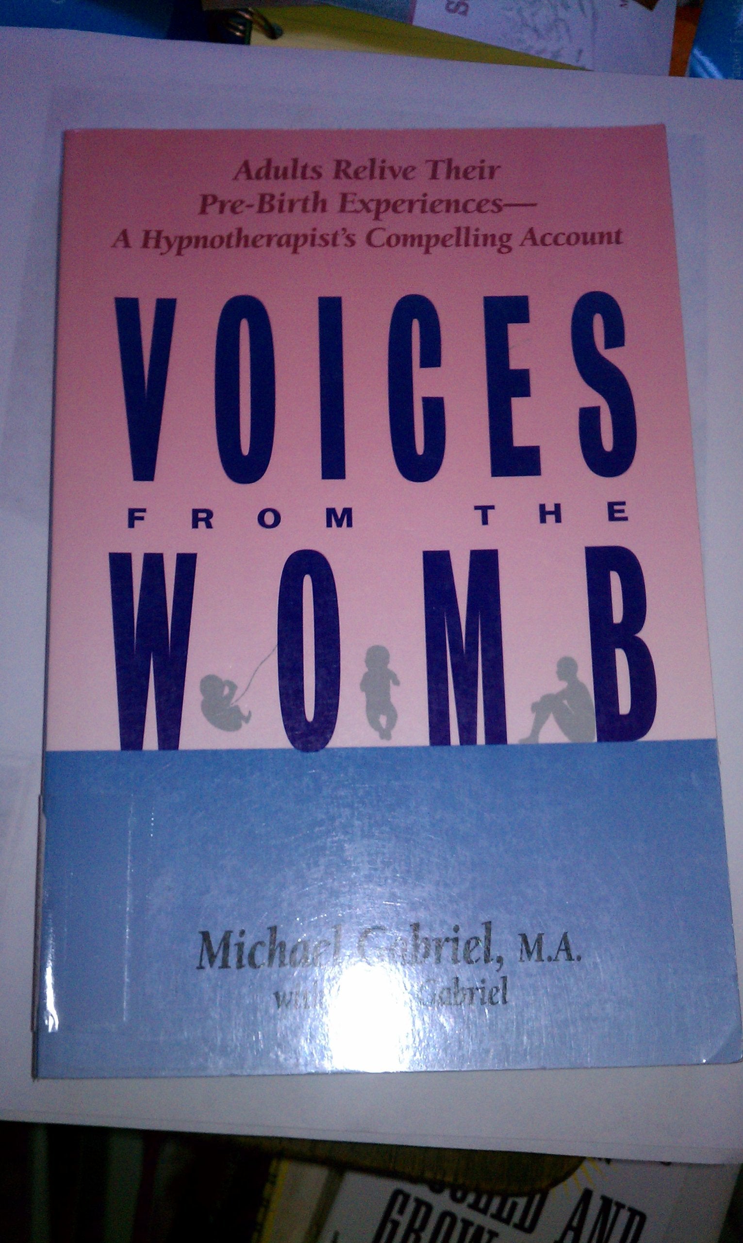 Voices from the Womb: Consciousness and Trauma in the PreBirth Self,Used
