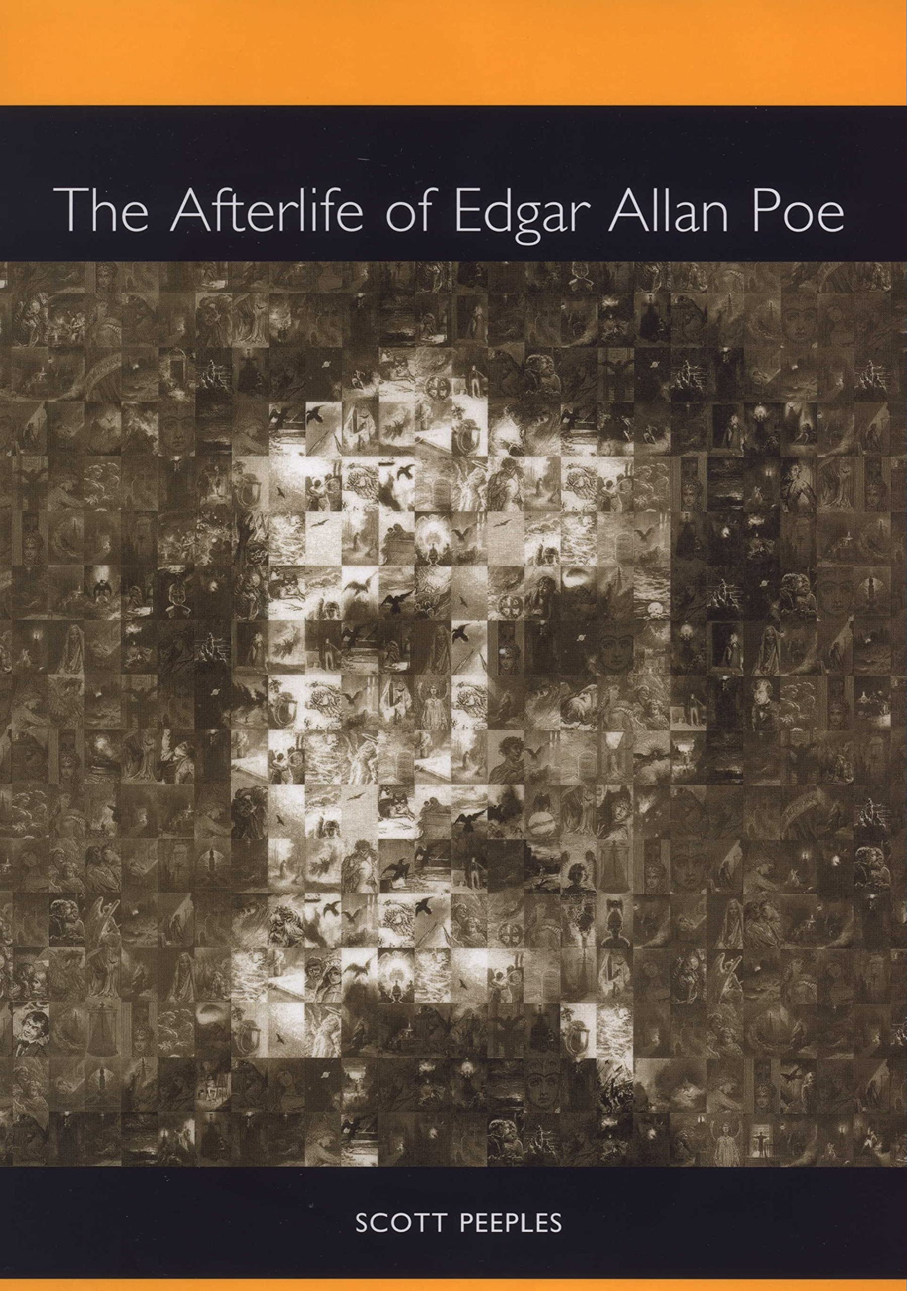 The Afterlife of Edgar Allan Poe (Literary Criticism in Perspective, 60),Used