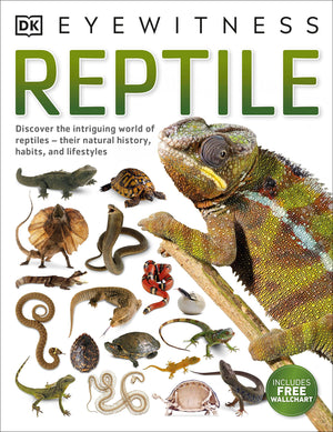 Reptile,Used