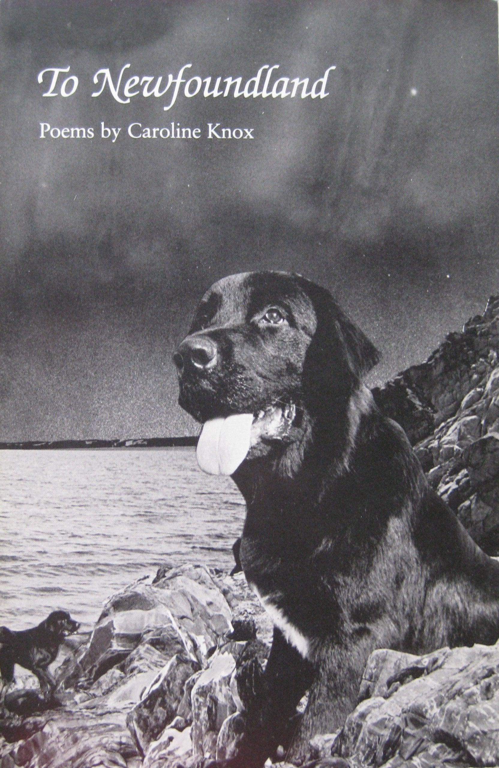 To Newfoundland (Contemporary Poetry Series),Used