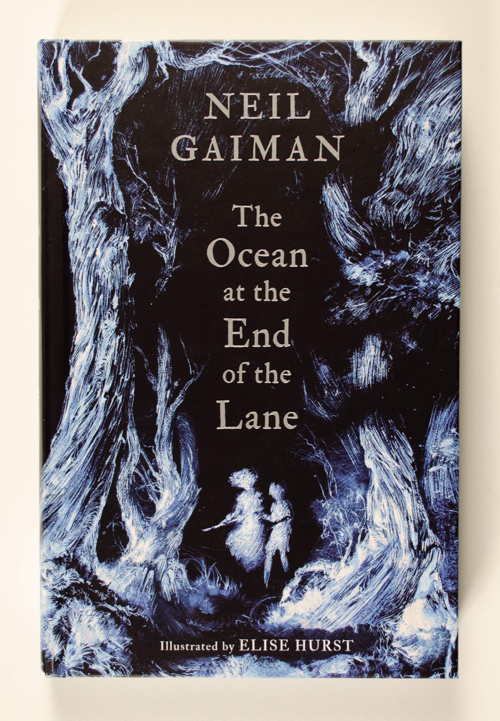 The Ocean At The End Of The Lane (Illustrated Edition)-used
