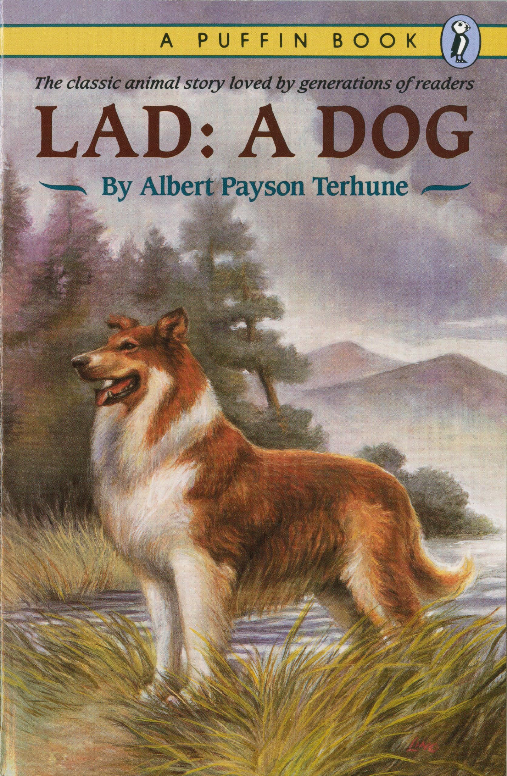 Lad: A Dog,Used