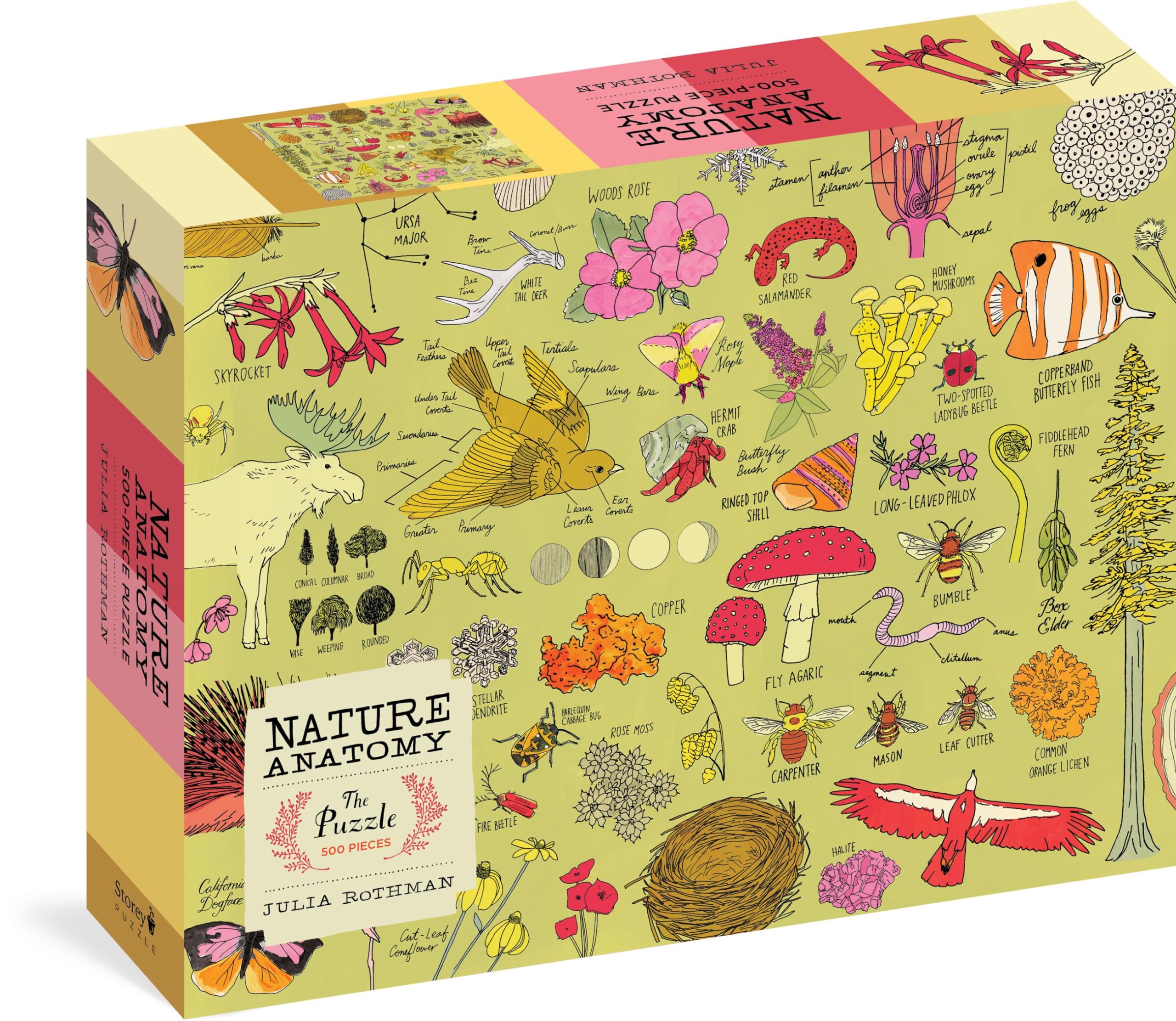 Nature Anatomy: The Puzzle (500 Pieces)
