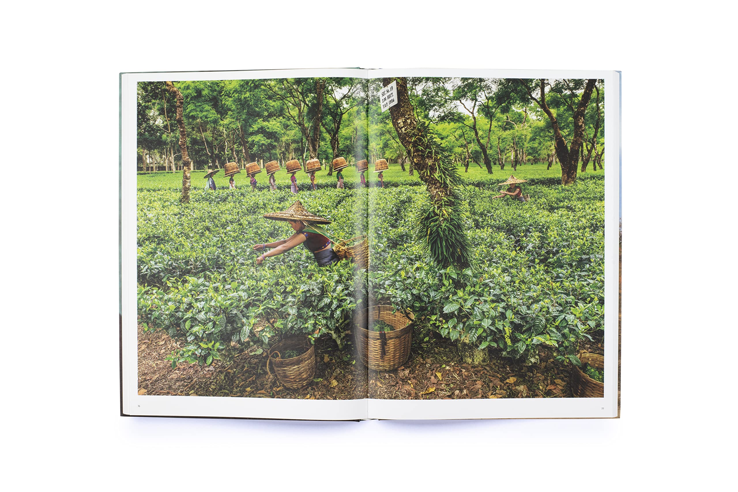 In Search of Elsewhere: Unseen Images,Used