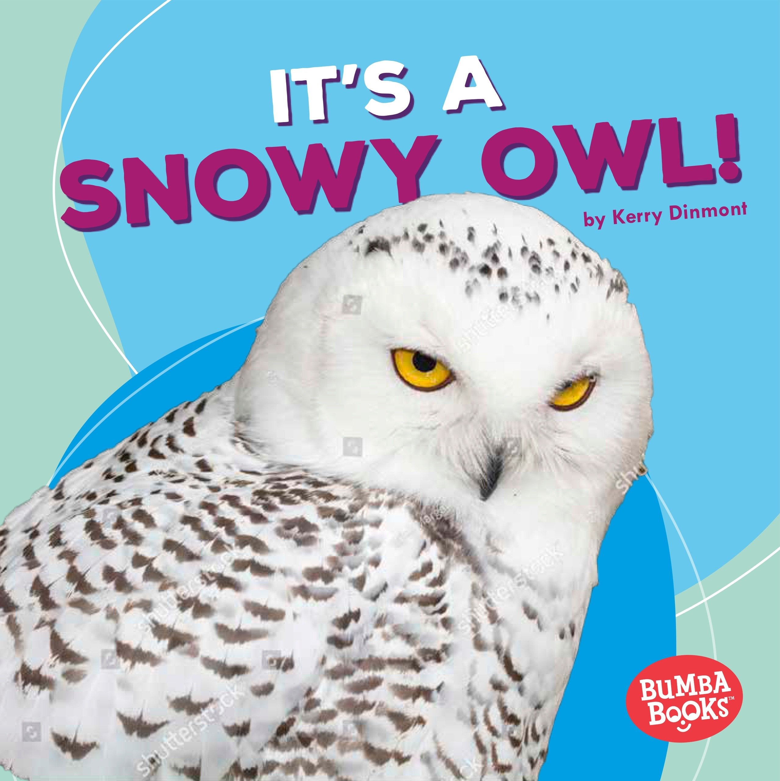 It's a Snowy Owl! (Bumba Books   Polar Animals),Used