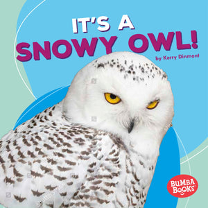 It's a Snowy Owl! (Bumba Books   Polar Animals),Used