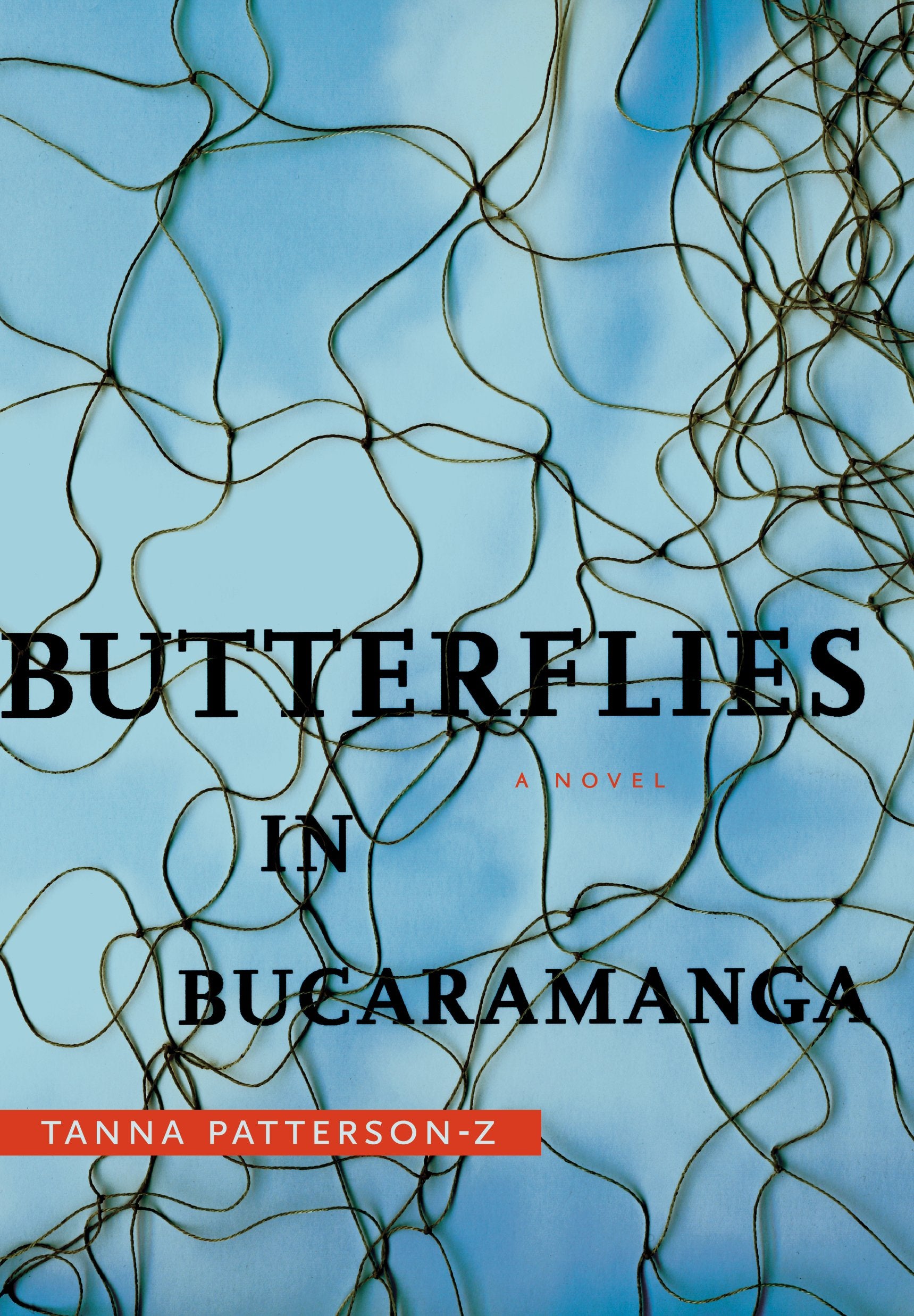 Butterflies in Bucaramanga,Used