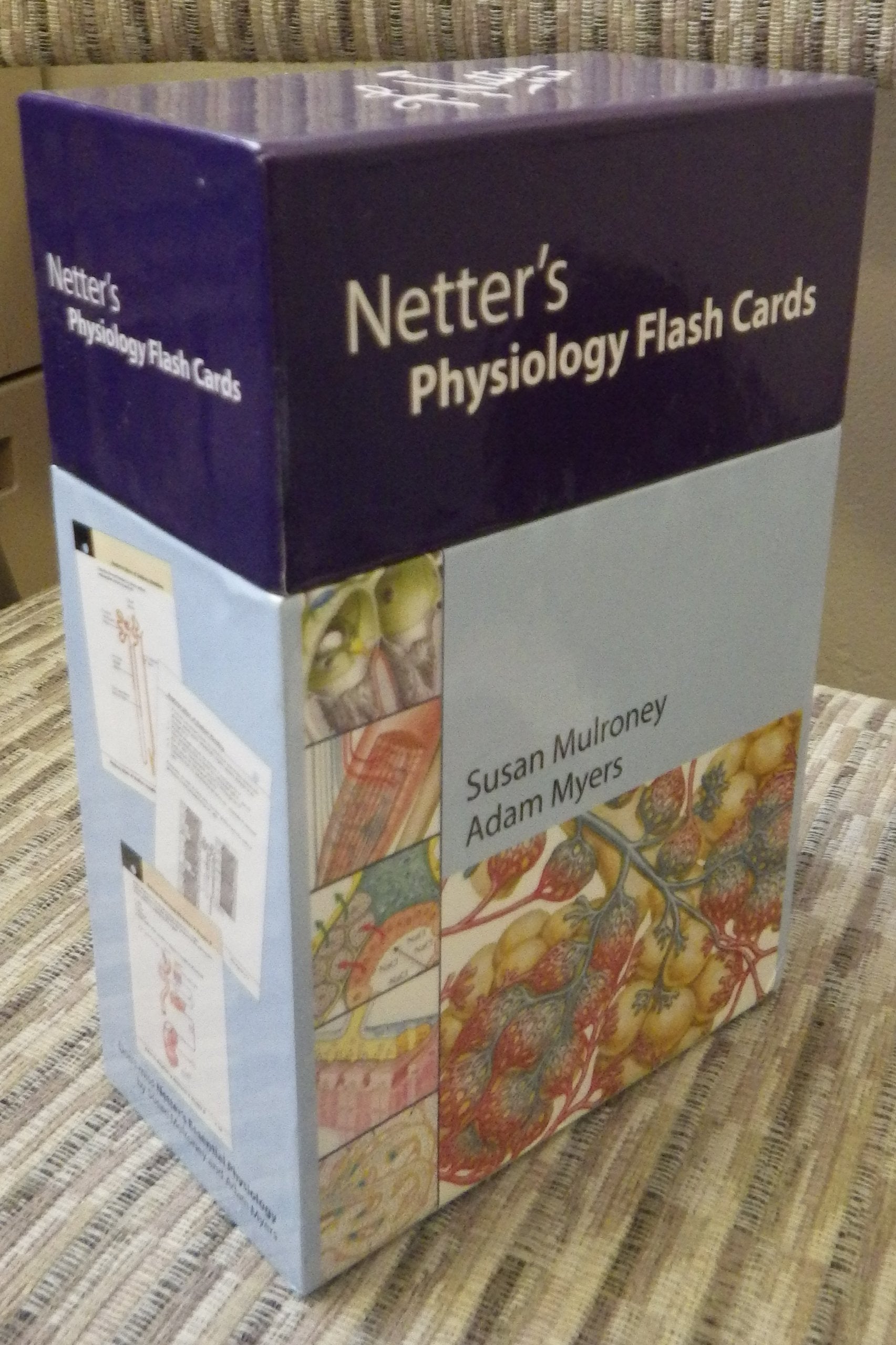 Netter's Physiology (Netter Basic Science),Used