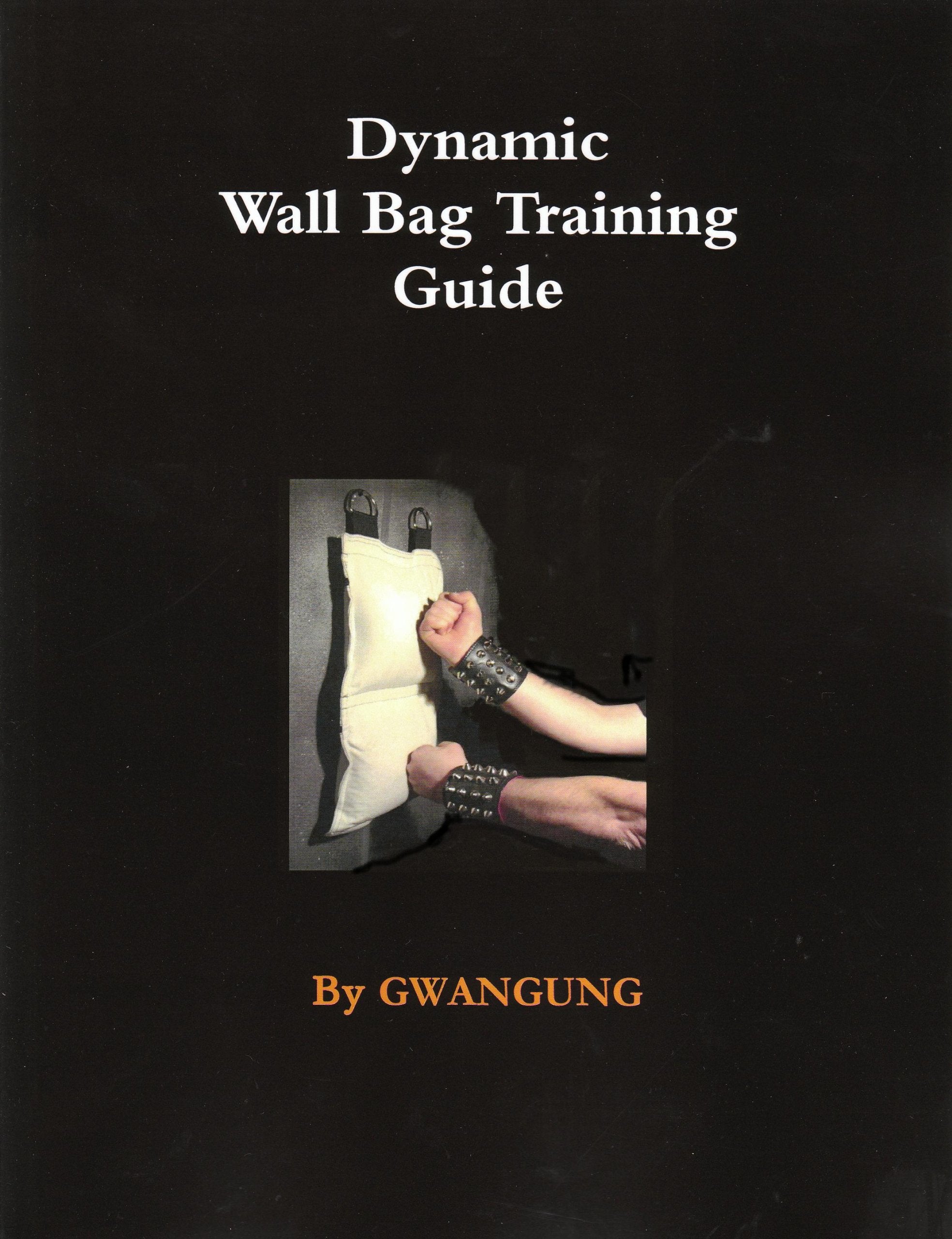 Dynamic wall bag training and techniques,Used