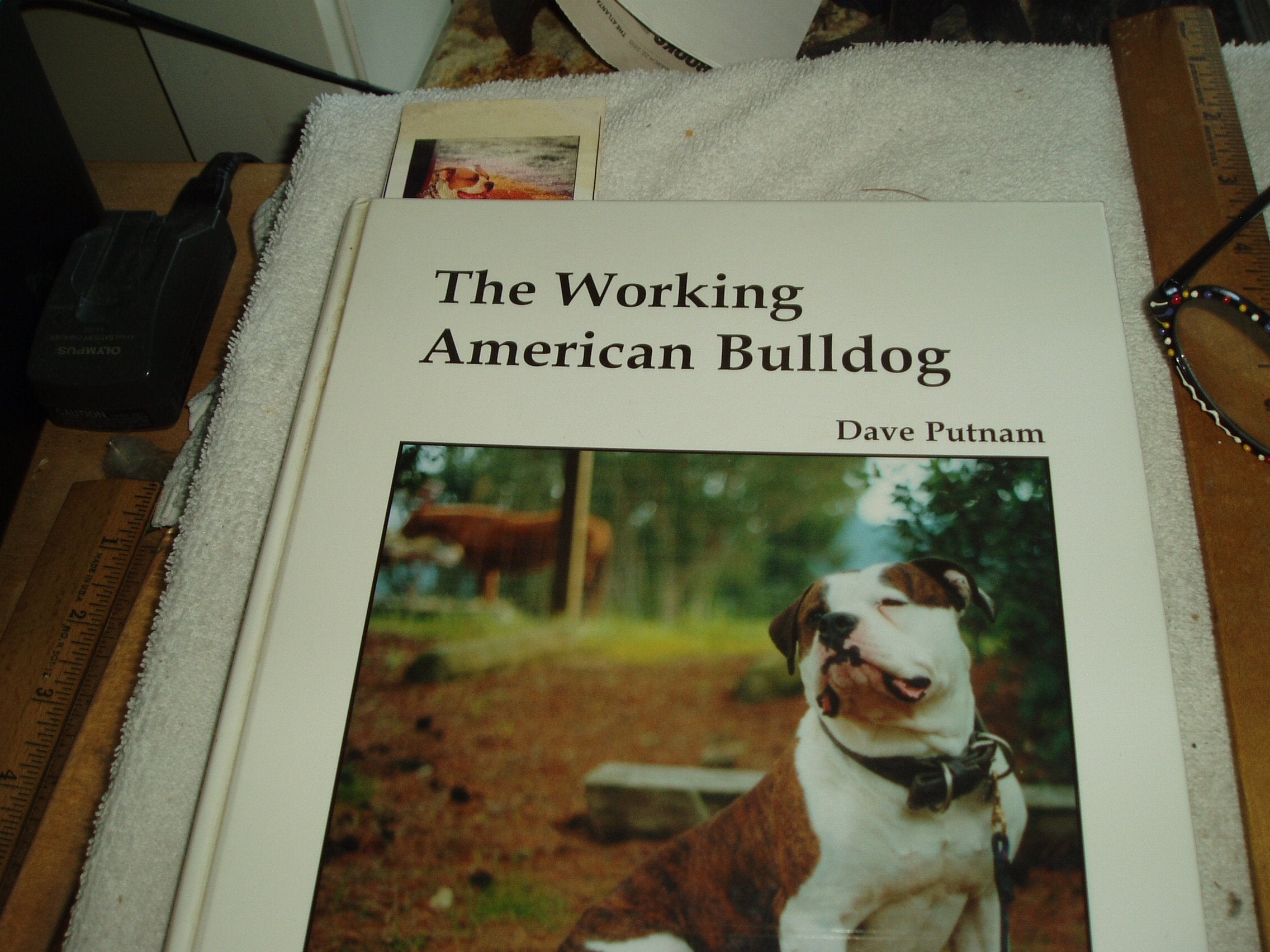 The Working American Bulldog,Used
