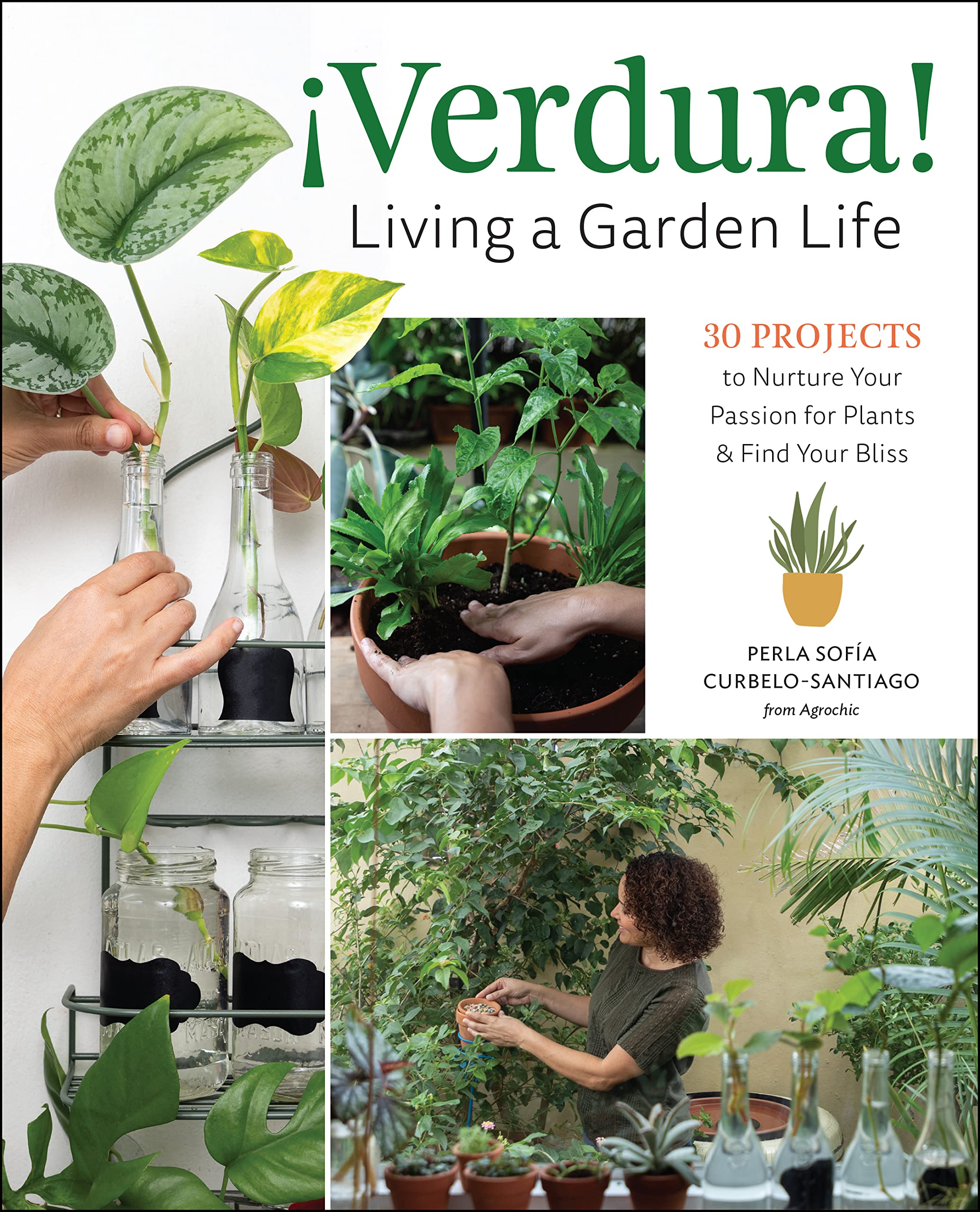 Verdura!  Living A Garden Life: 30 Projects To Nurture Your Passion For Plants And Find Your Bliss,New