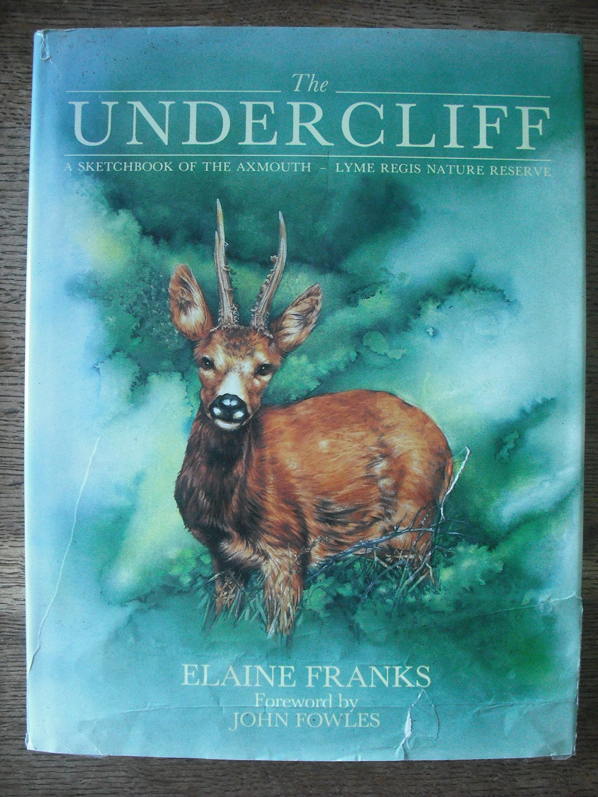 The Undercliff: A sketchbook of the Axmouth  Lyme Regis Nature Reserve,Used
