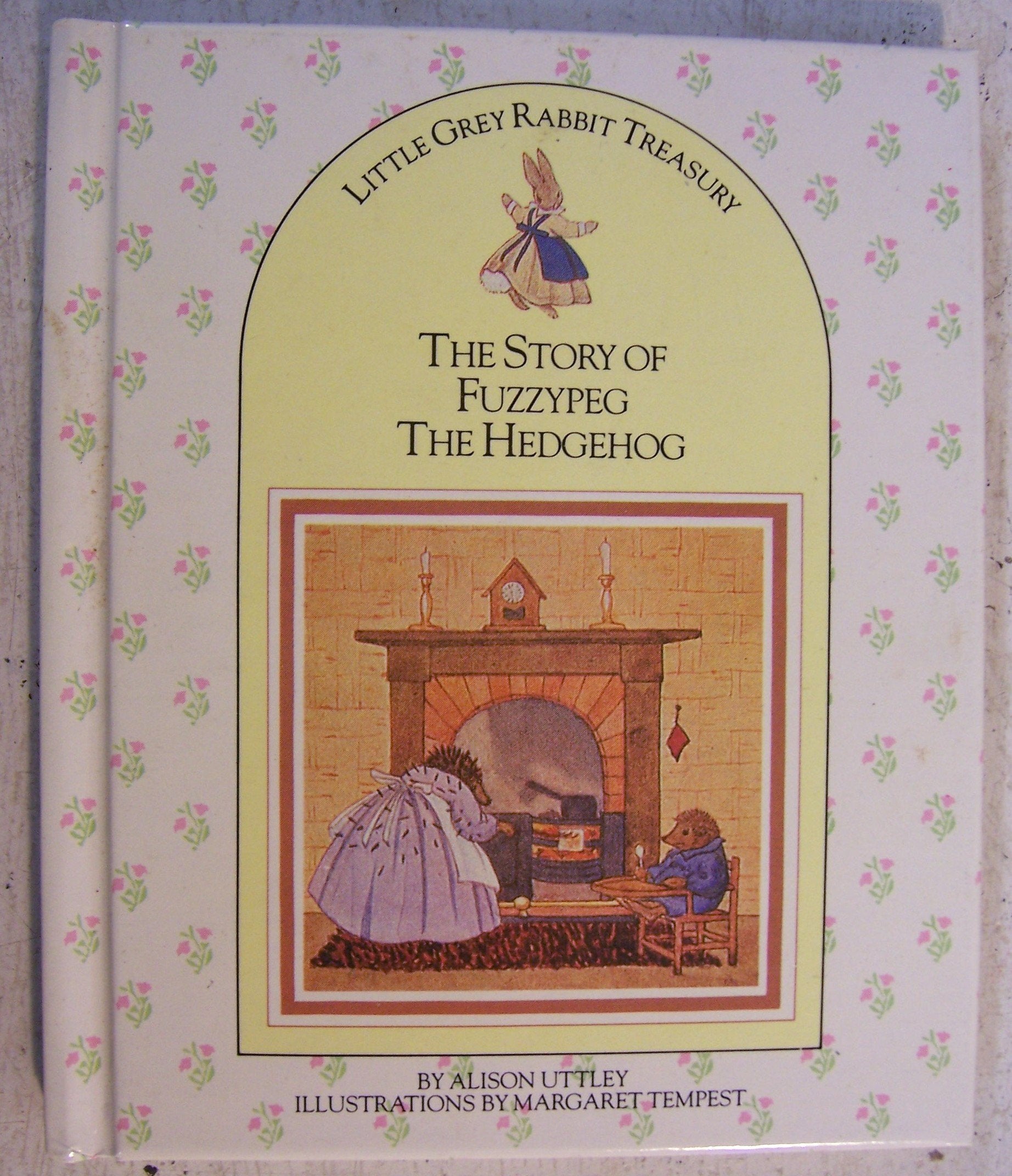 The Story Of Fuzzypeg The Hedgehog-used