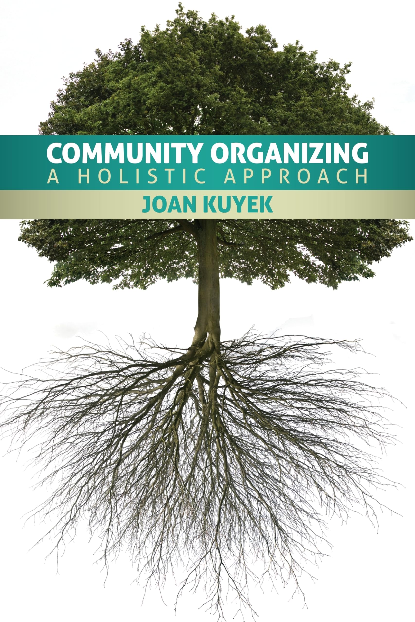 Community Organizing: A Holistic Approach,Used