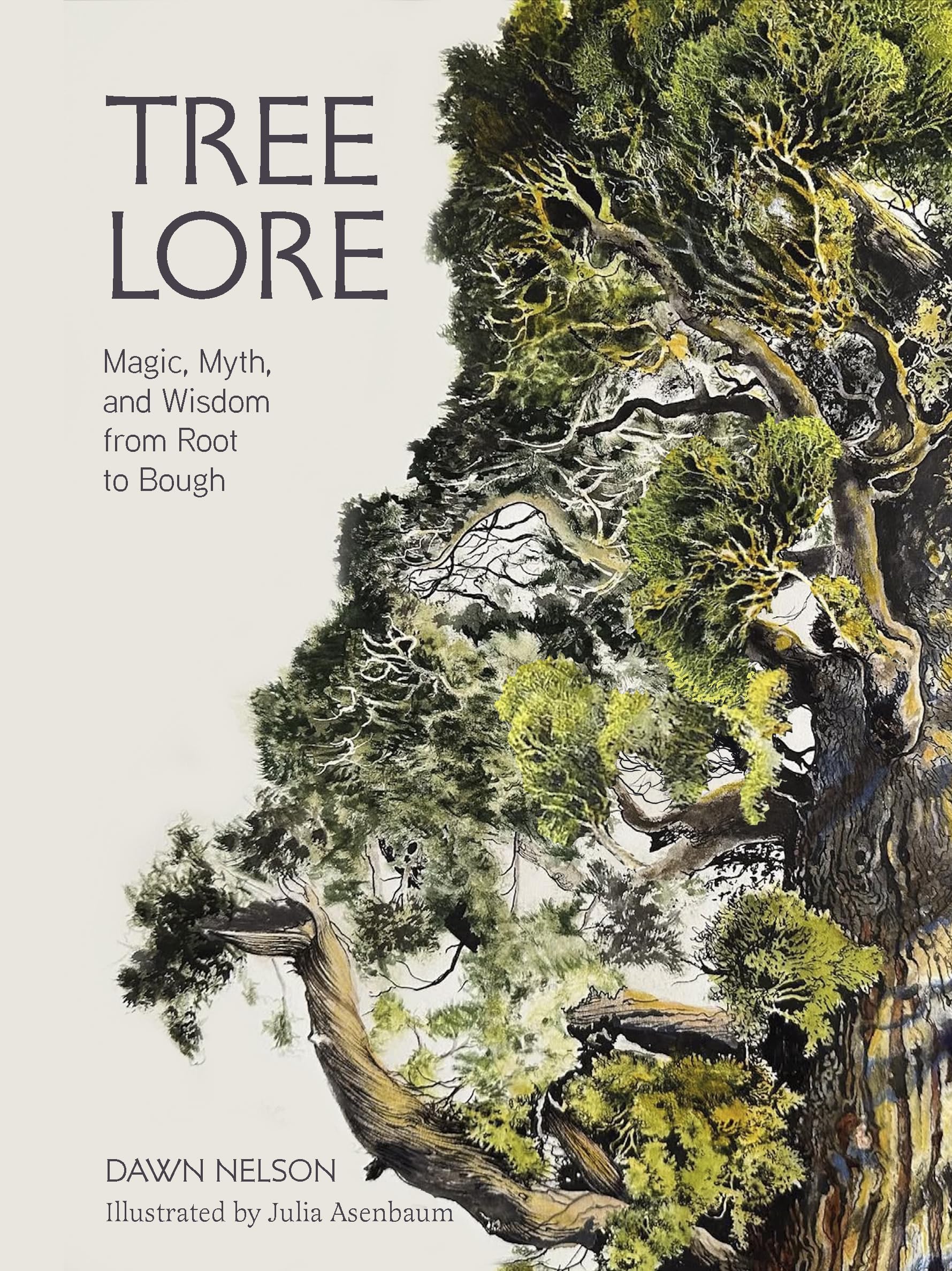 Tree Lore: Magic, Myth, And Wisdom From Root To Bough