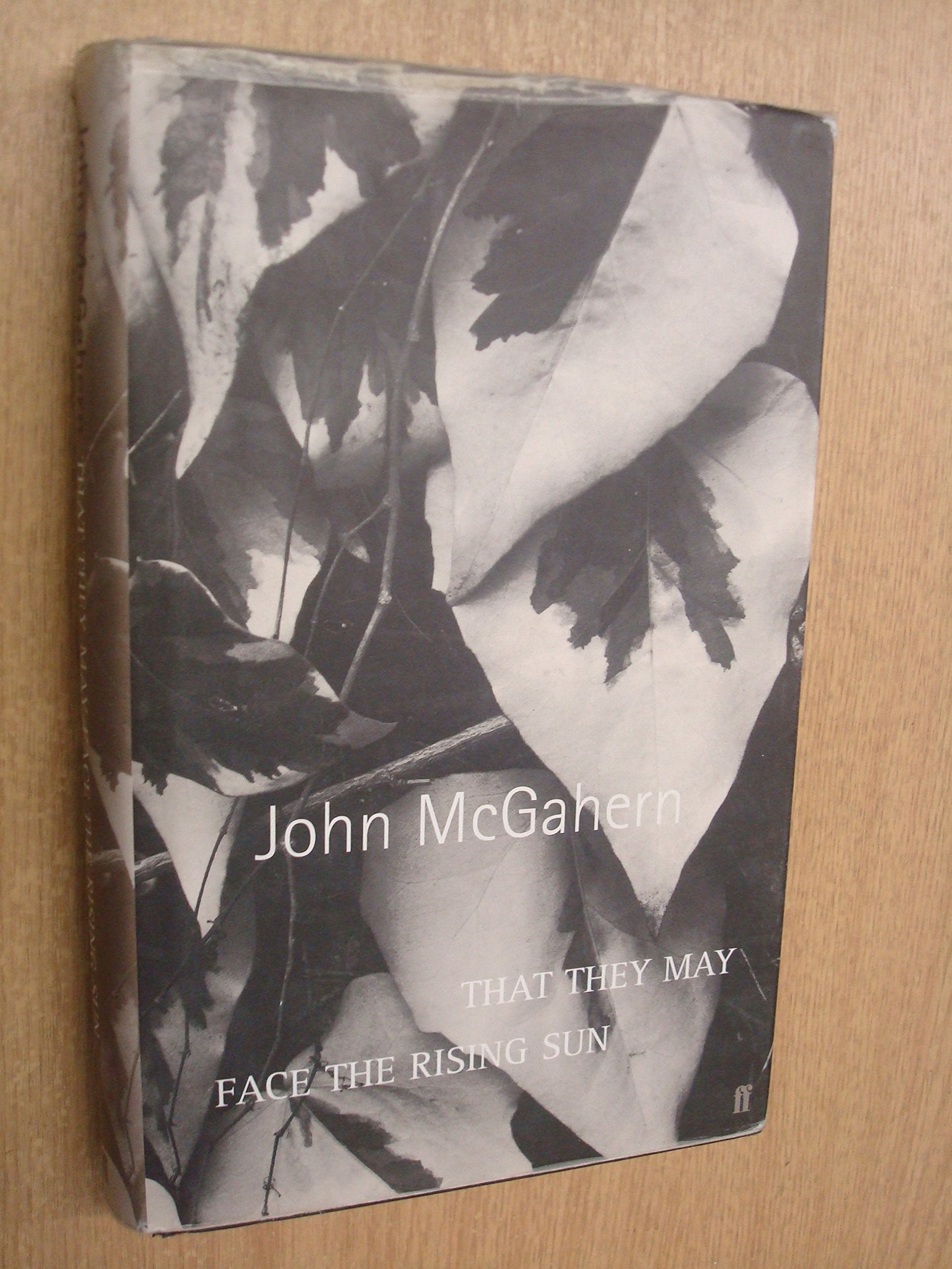 That They May Face the Rising Sun (Great Irish Writers),Used