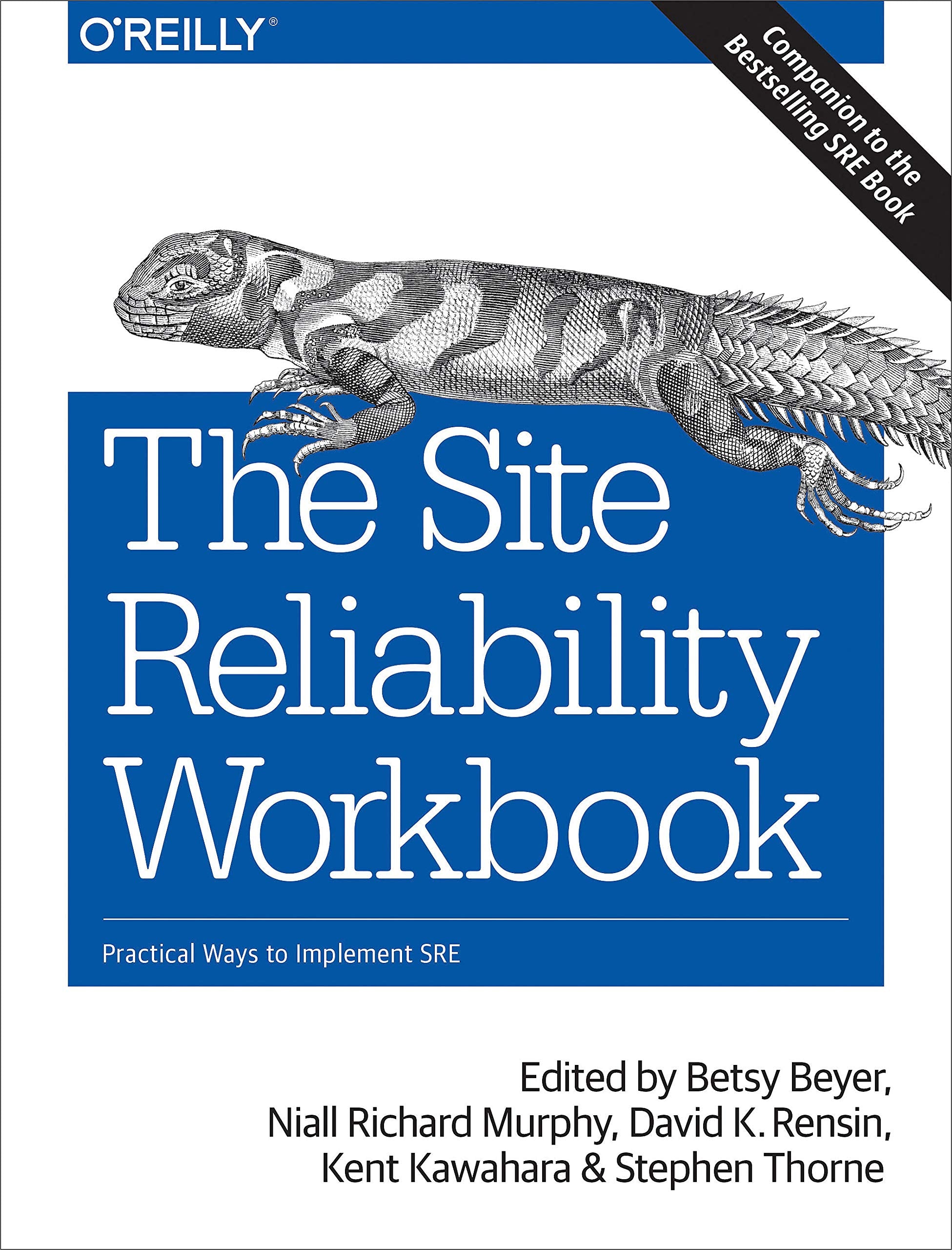 The Site Reliability Workbook: Practical Ways to Implement SRE,New