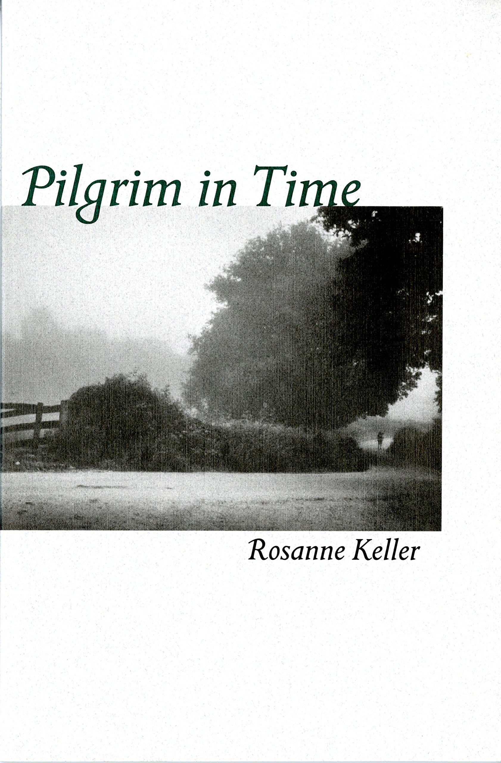 Pilgrim In Time: Mindful Journeys To Encounter The Sacred,Used