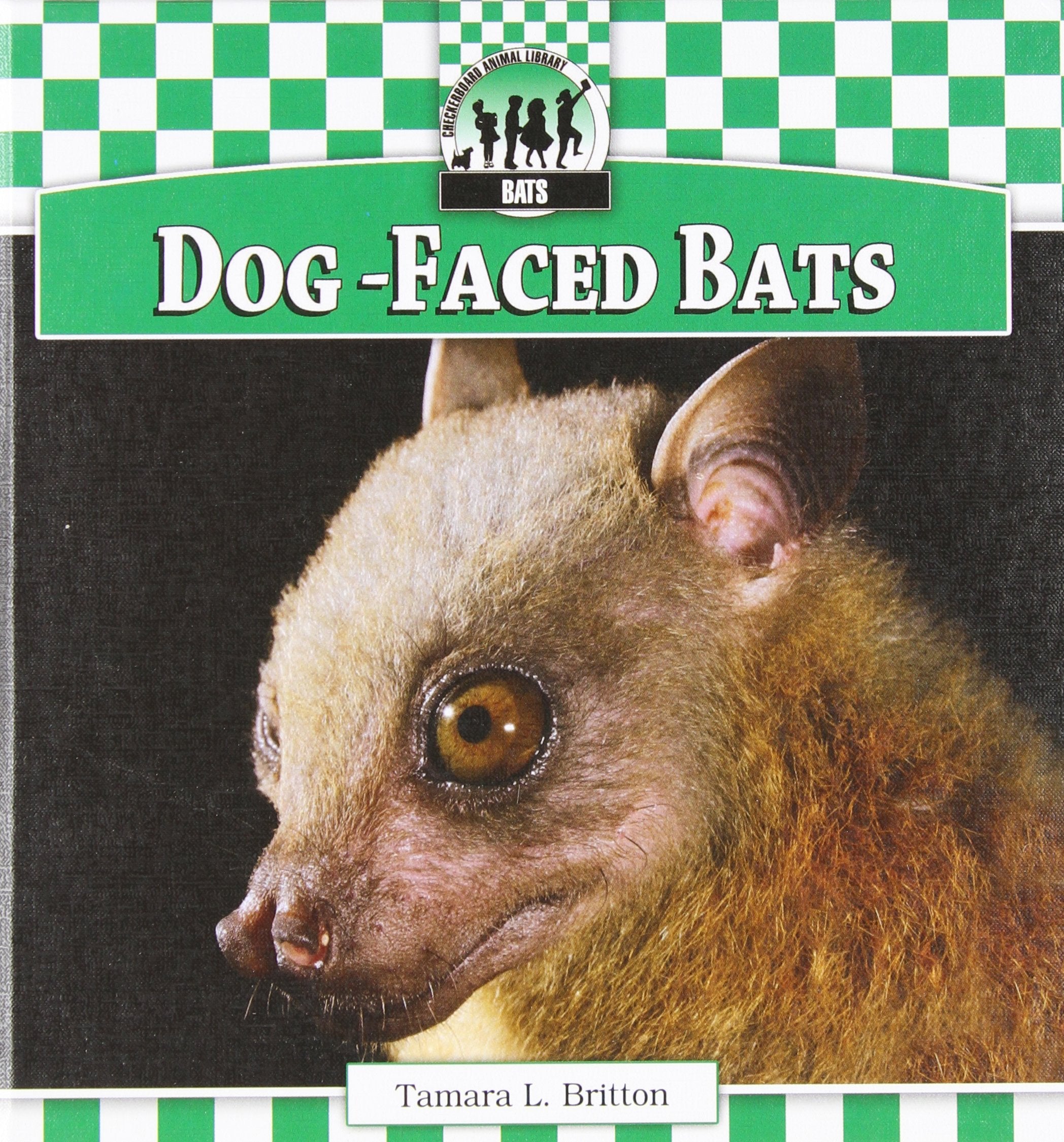 Dogfaced Bats