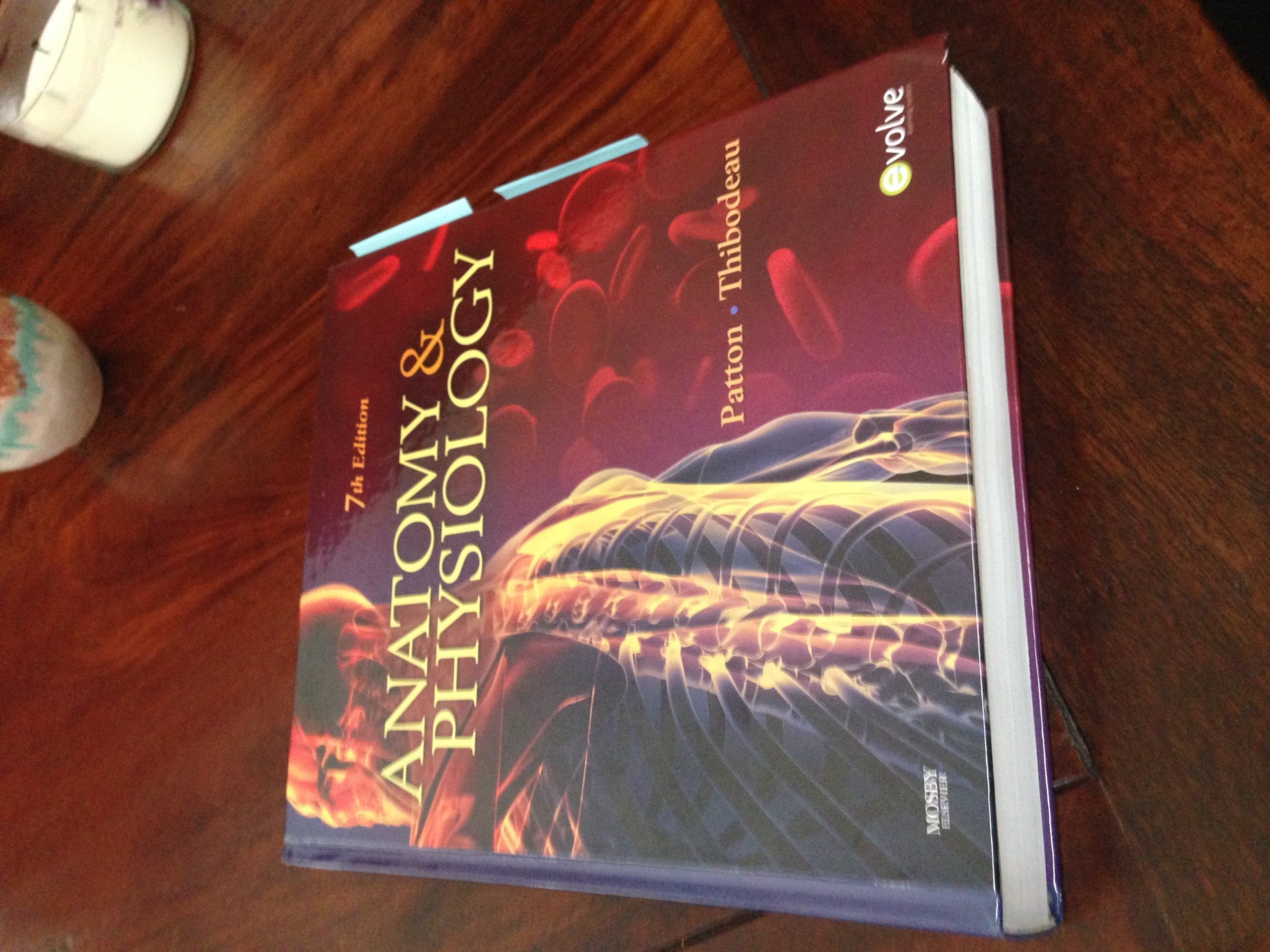 Anatomy & Physiology  TEXTBOOK ONLY,Used