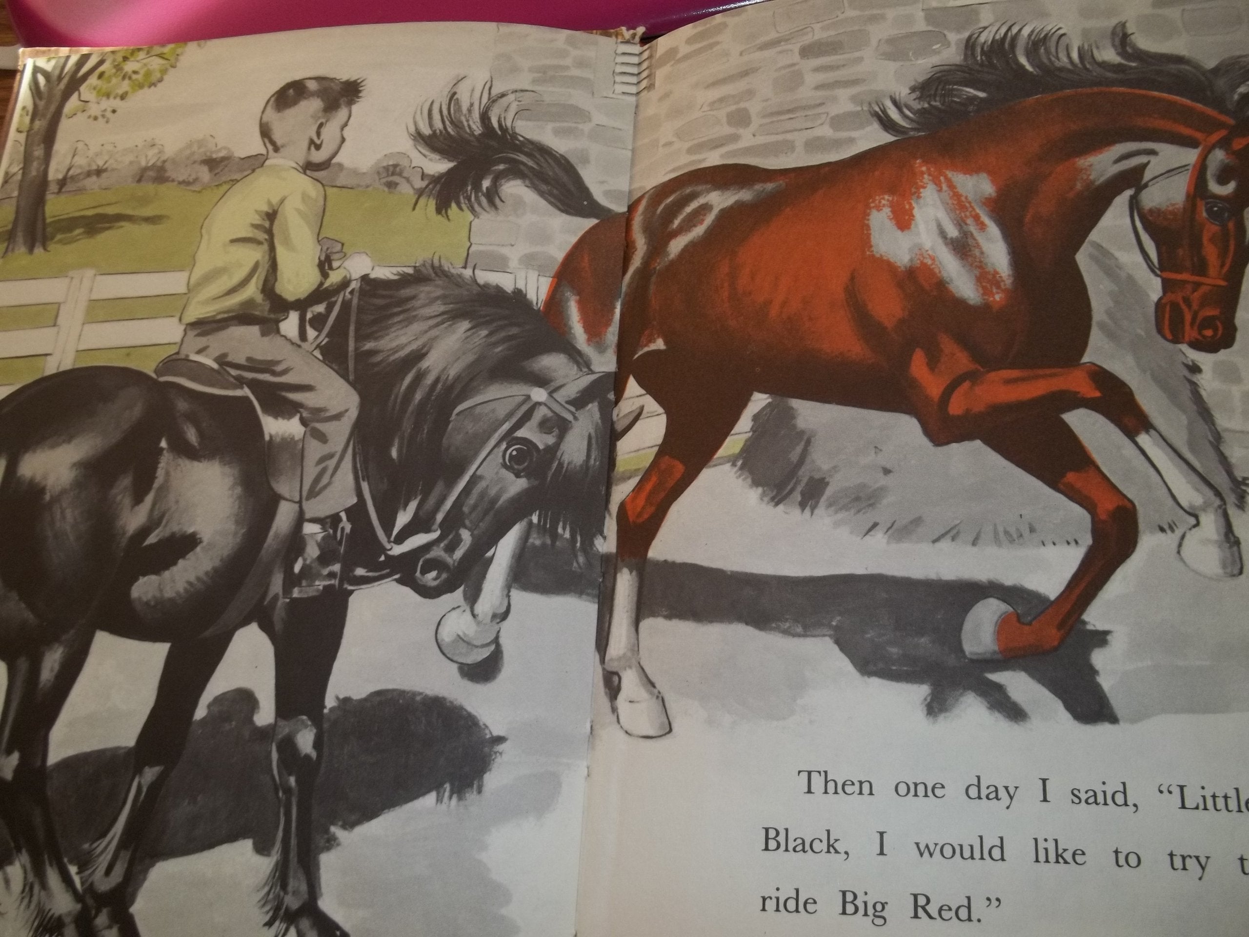 Random House Books for Young Readers Little Black, A Pony - Children's Book