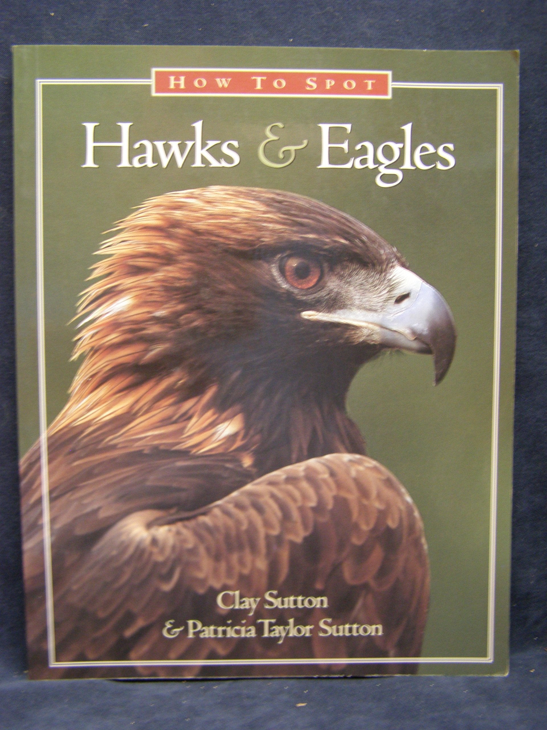 How to Spot Hawks & Eagles (The How to Spot Series),Used