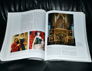 Janson's Basic History of Western Art (8th Edition),Used