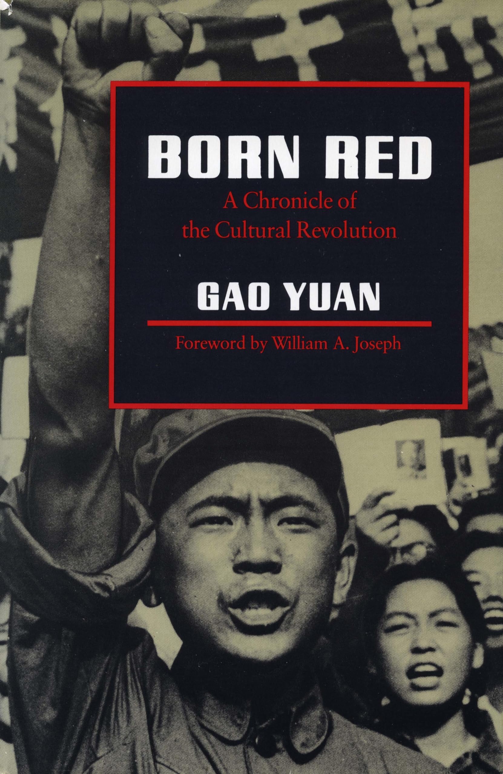 Born Red: A Chronicle Of The Cultural Revolution,New