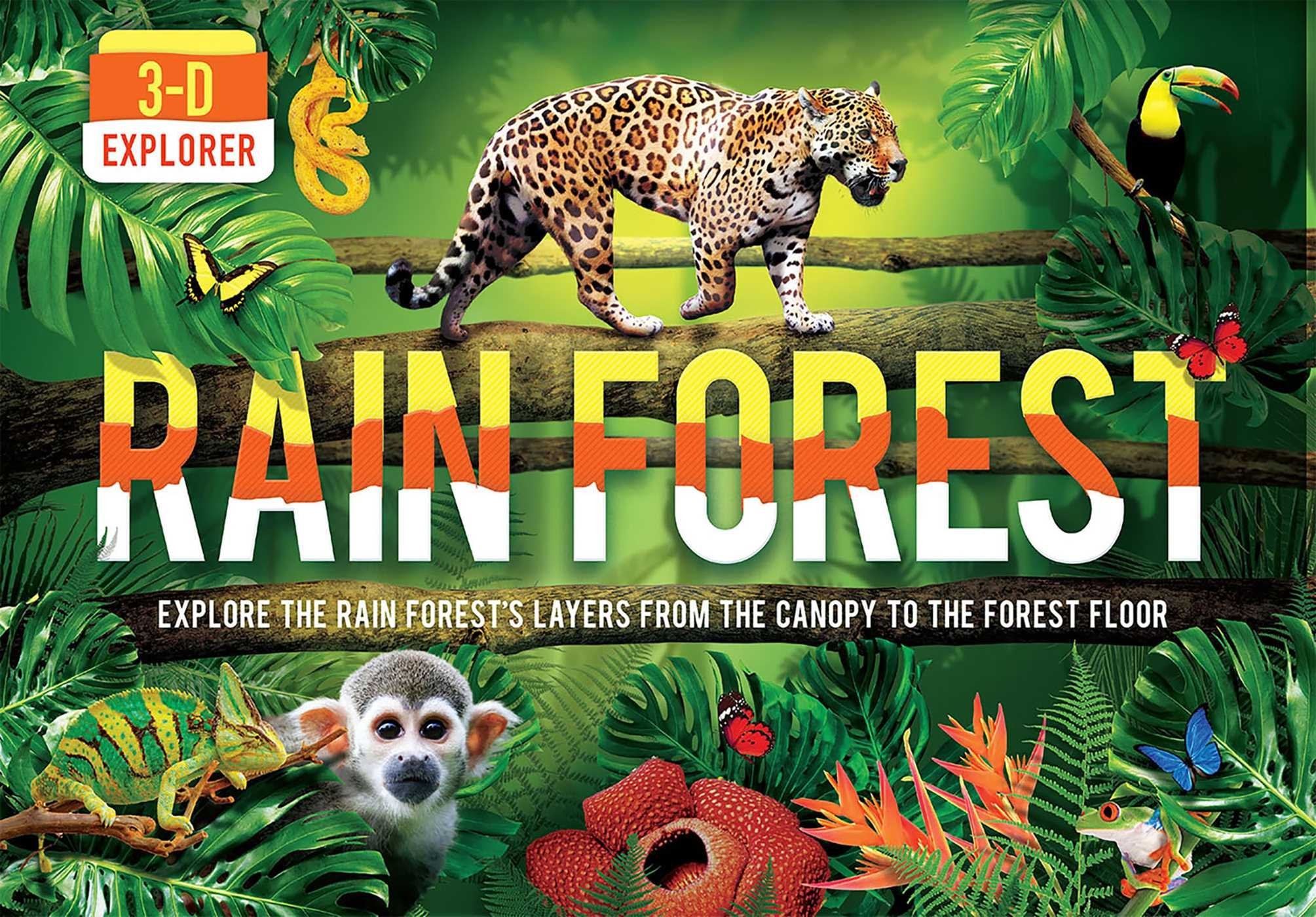3D Explorer: Rain Forest