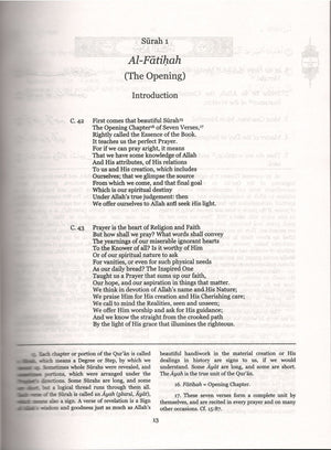 The Meaning of the Holy Qur'an: Complete Translation with Selected Notes,Used
