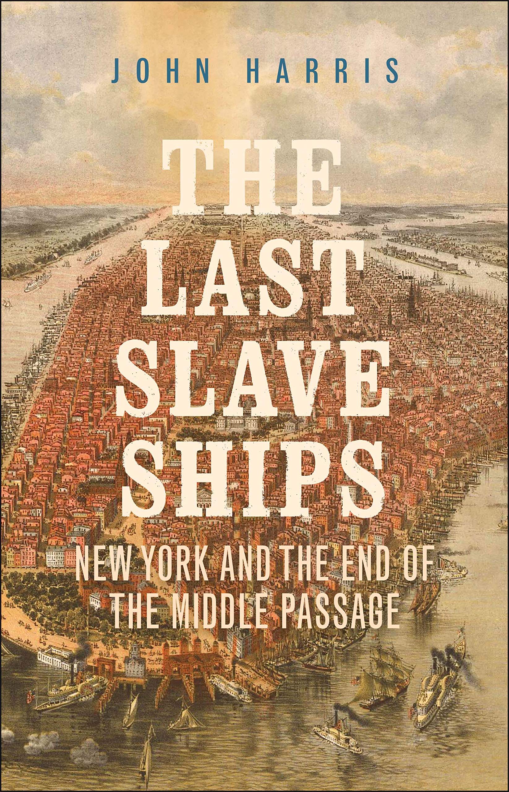 The Last Slave Ships: New York and the End of the Middle Passage,New
