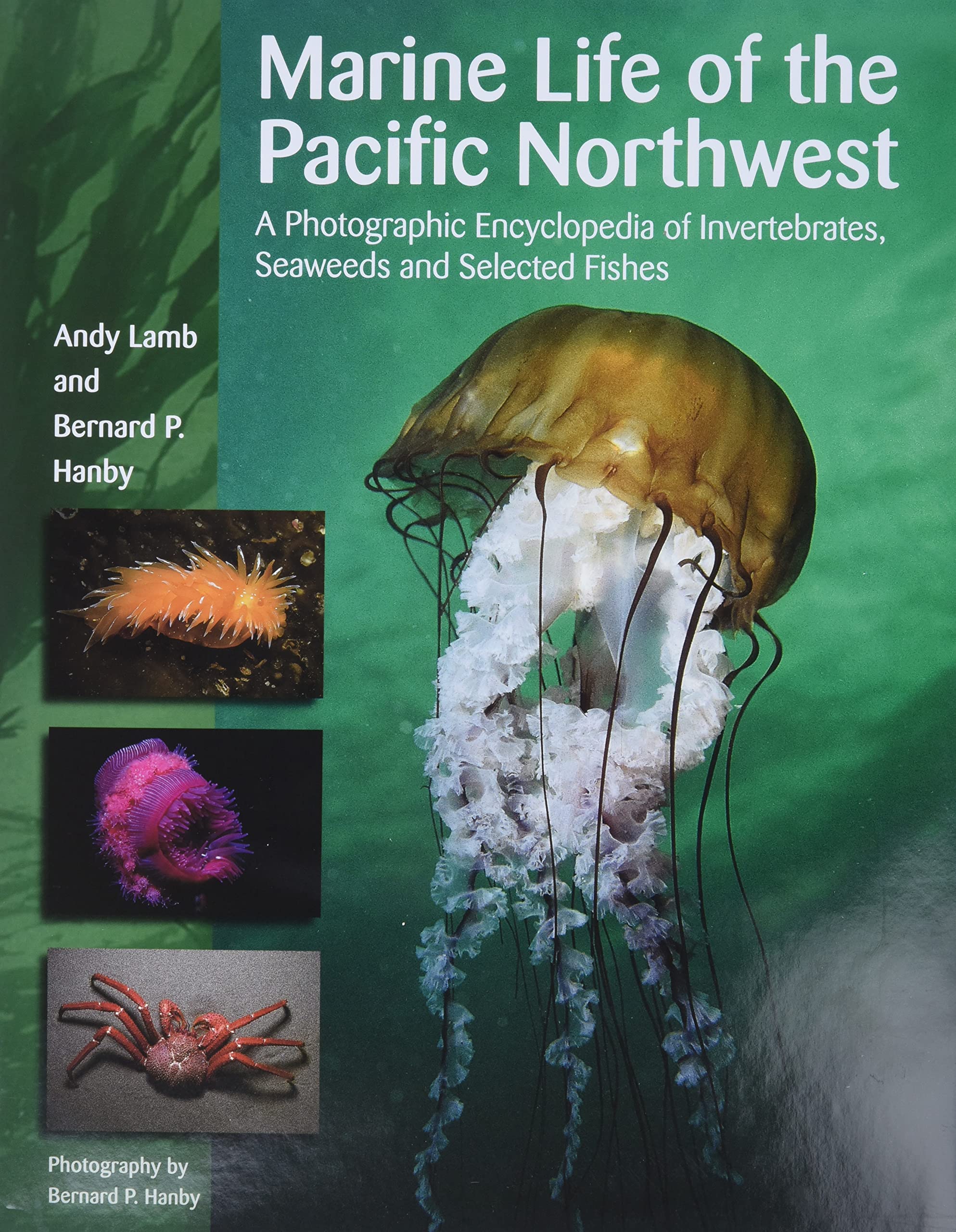 Marine Life of the Pacific Northwest: A Photographic Encyclopedia of Invertebrates, Seaweeds And Selected Fishes,Used