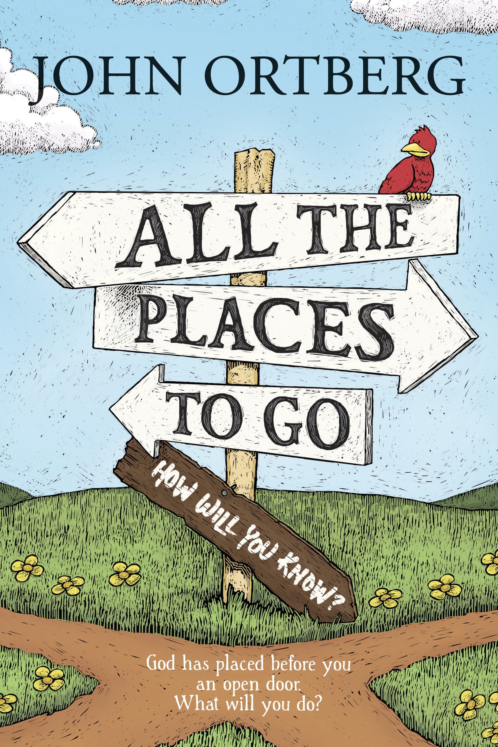 All the Places to Go . . . How Will You Know?: God Has Placed before You an Open Door. What Will You Do?,Used