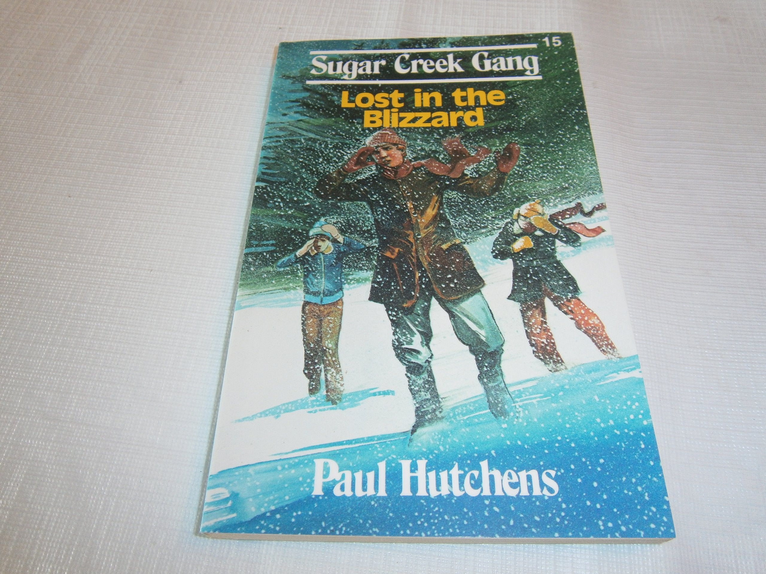 Lost in the Blizzard (The Sugar Creek Gang),Used