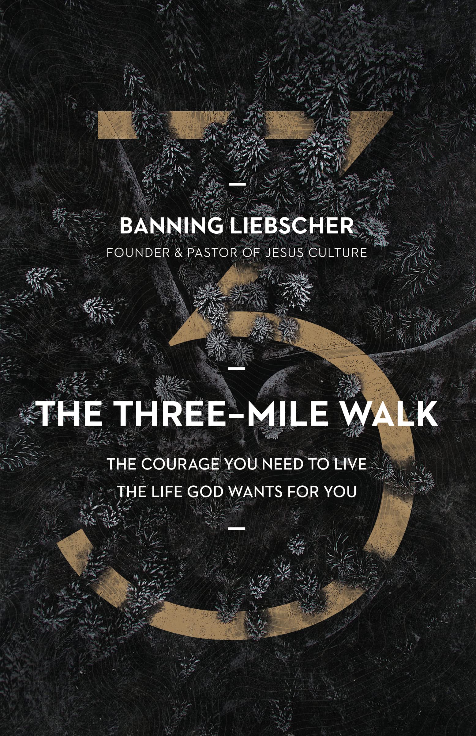 The ThreeMile Walk: The Courage You Need to Live the Life God Wants for You,Used