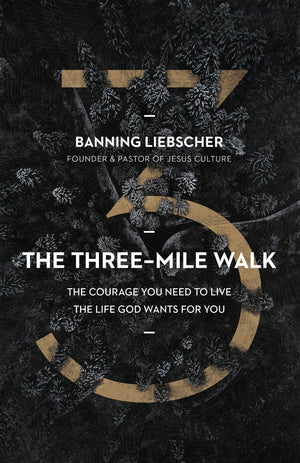 The ThreeMile Walk: The Courage You Need to Live the Life God Wants for You,Used