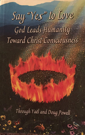 Say 'Yes' to Love: God Explains Soul Mates (New, Expanded, Second Edition),Used