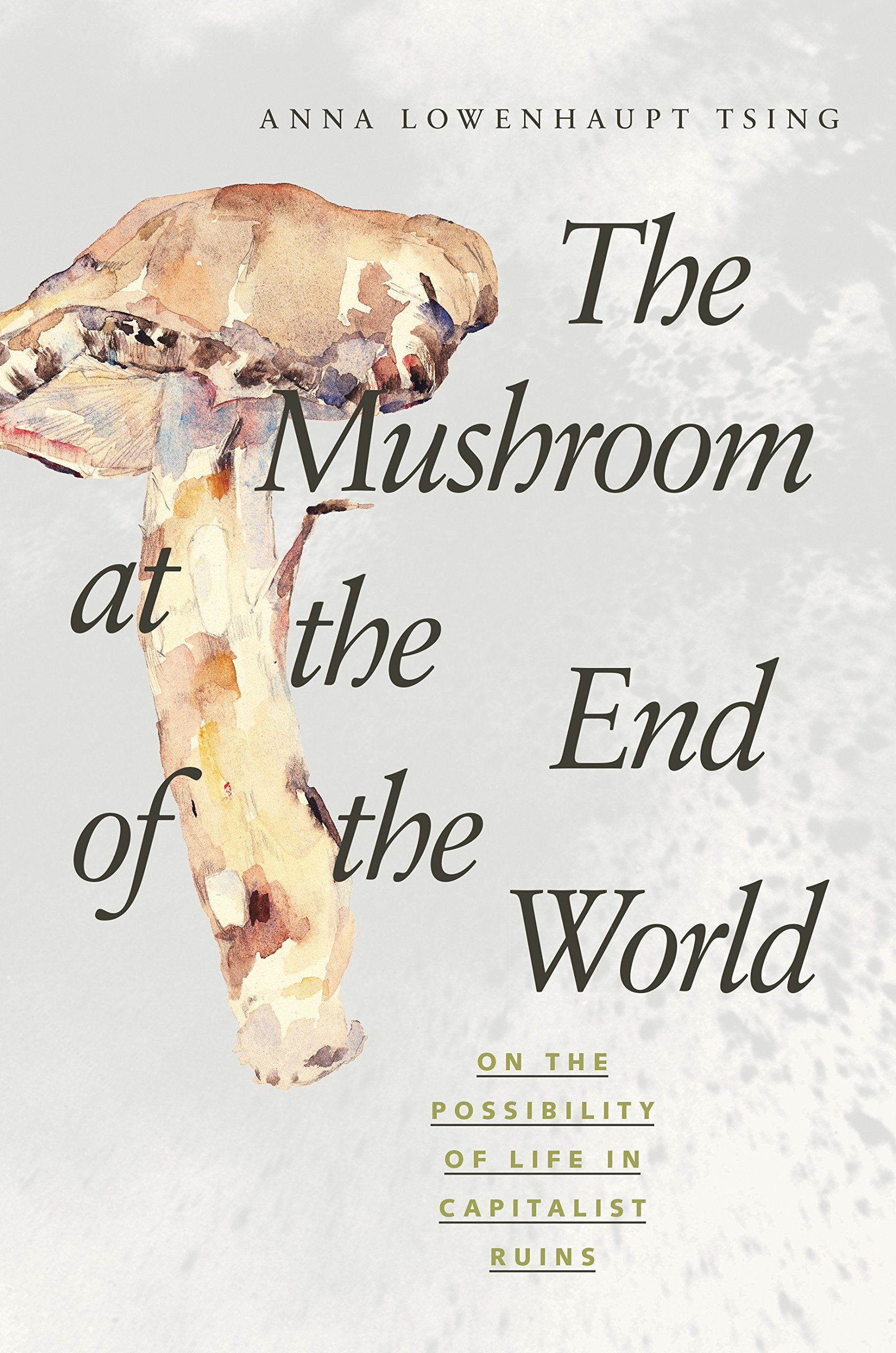 The Mushroom At The End Of The World: On The Possibility Of Life In Capitalist Ruins-used