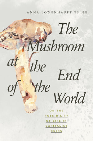 The Mushroom At The End Of The World: On The Possibility Of Life In Capitalist Ruins-used