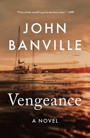 Vengeance (Quirke, 5)