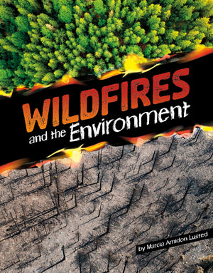 Wildfires and the Environment (Disasters and the Environment),New