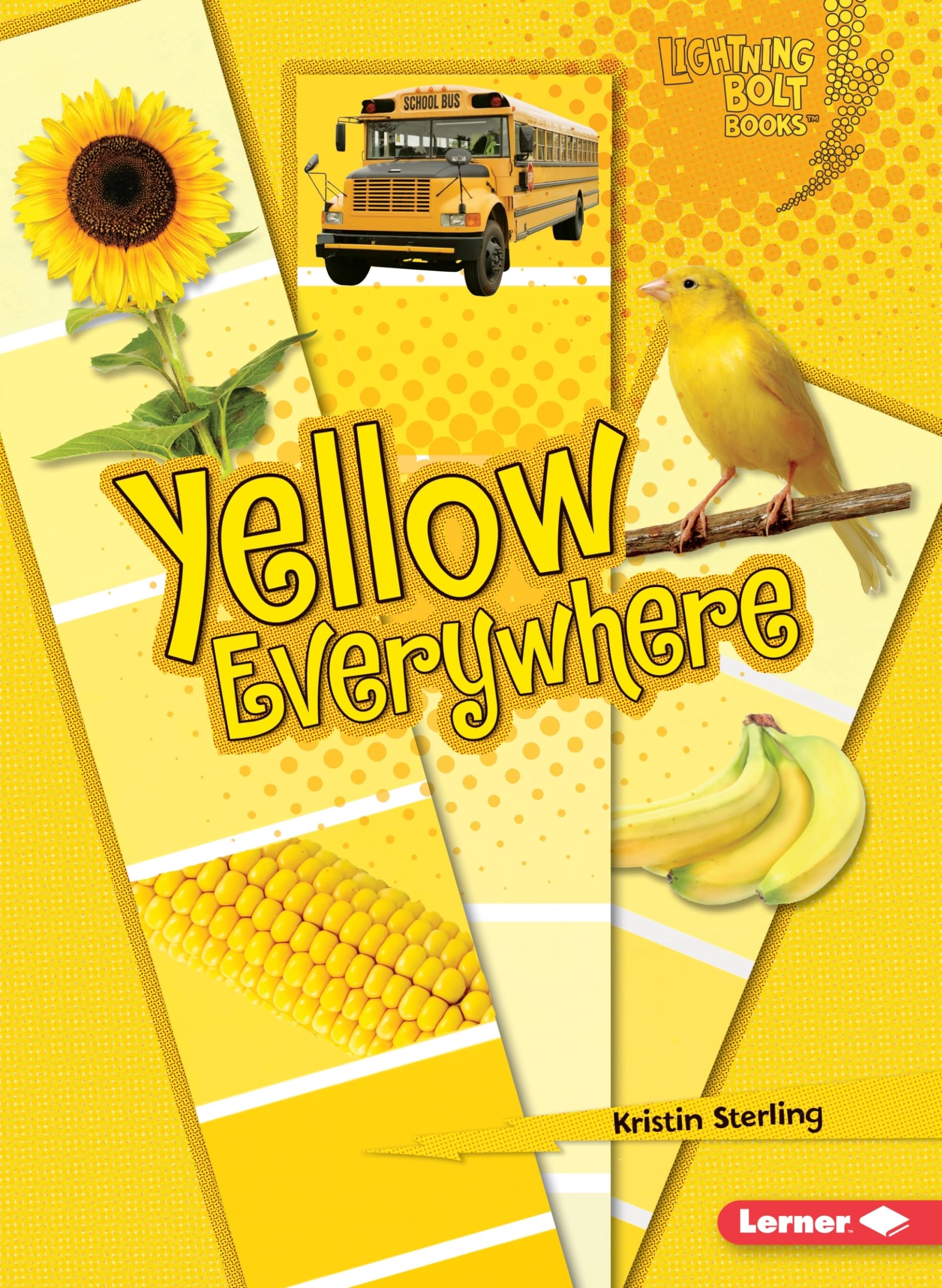 Yellow Everywhere (Lightning Bolt Books   Colors Everywhere),Used