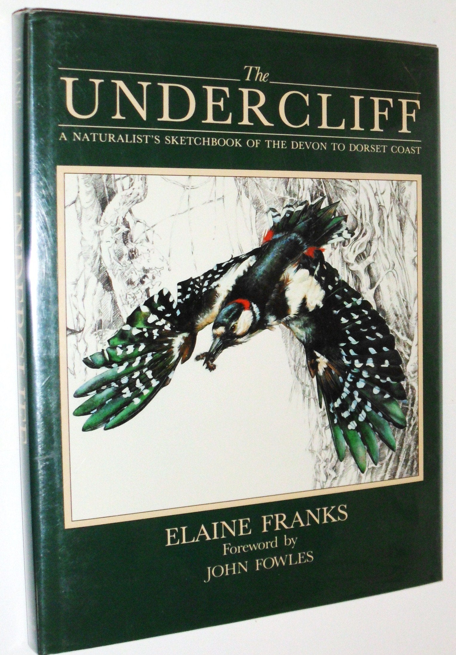 The Undercliff: A Naturlist's Sketchbook of the Devon to Dorset Coast,Used