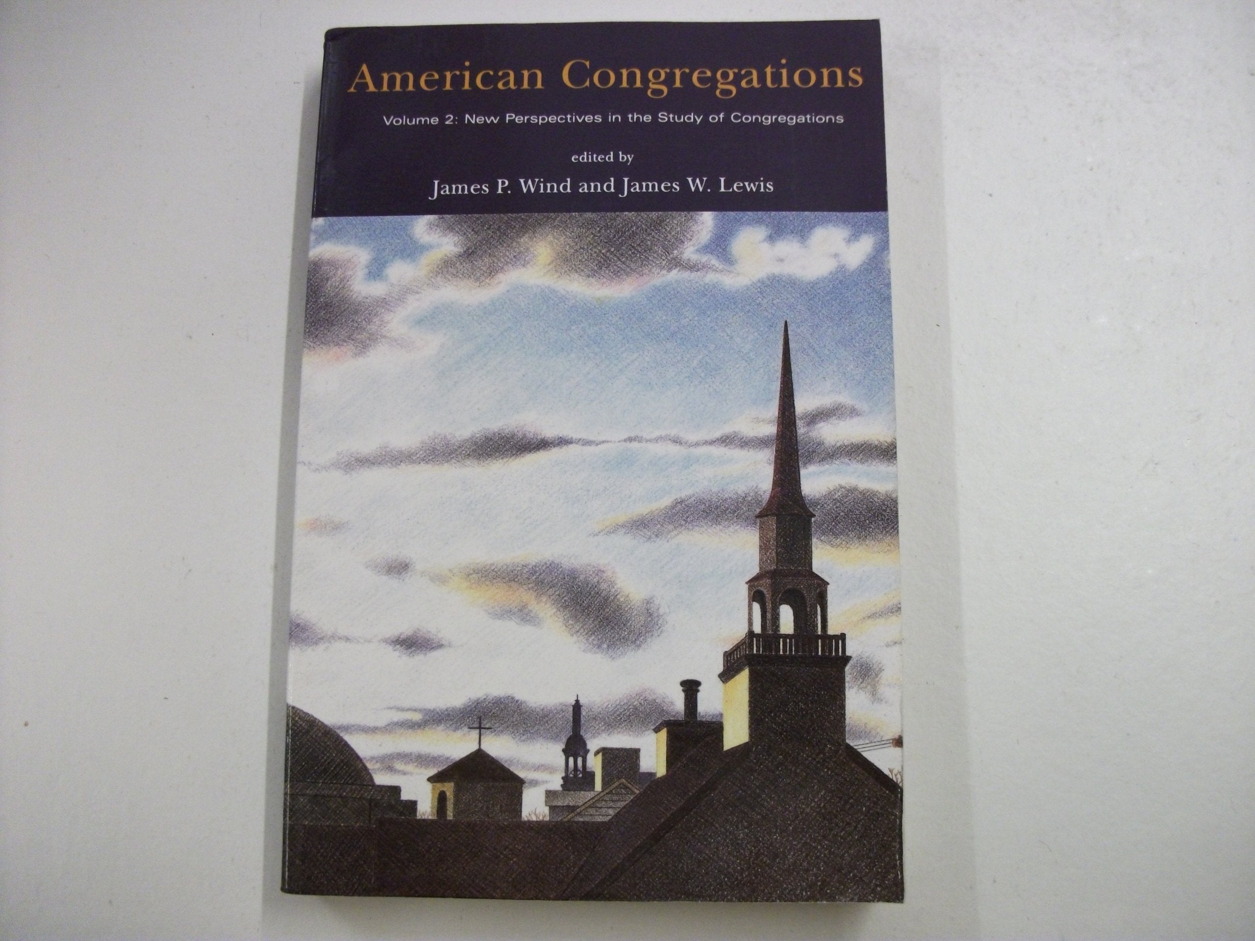 American Congregations, Volume 2: New Perspectives in the Study of Congregations,Used