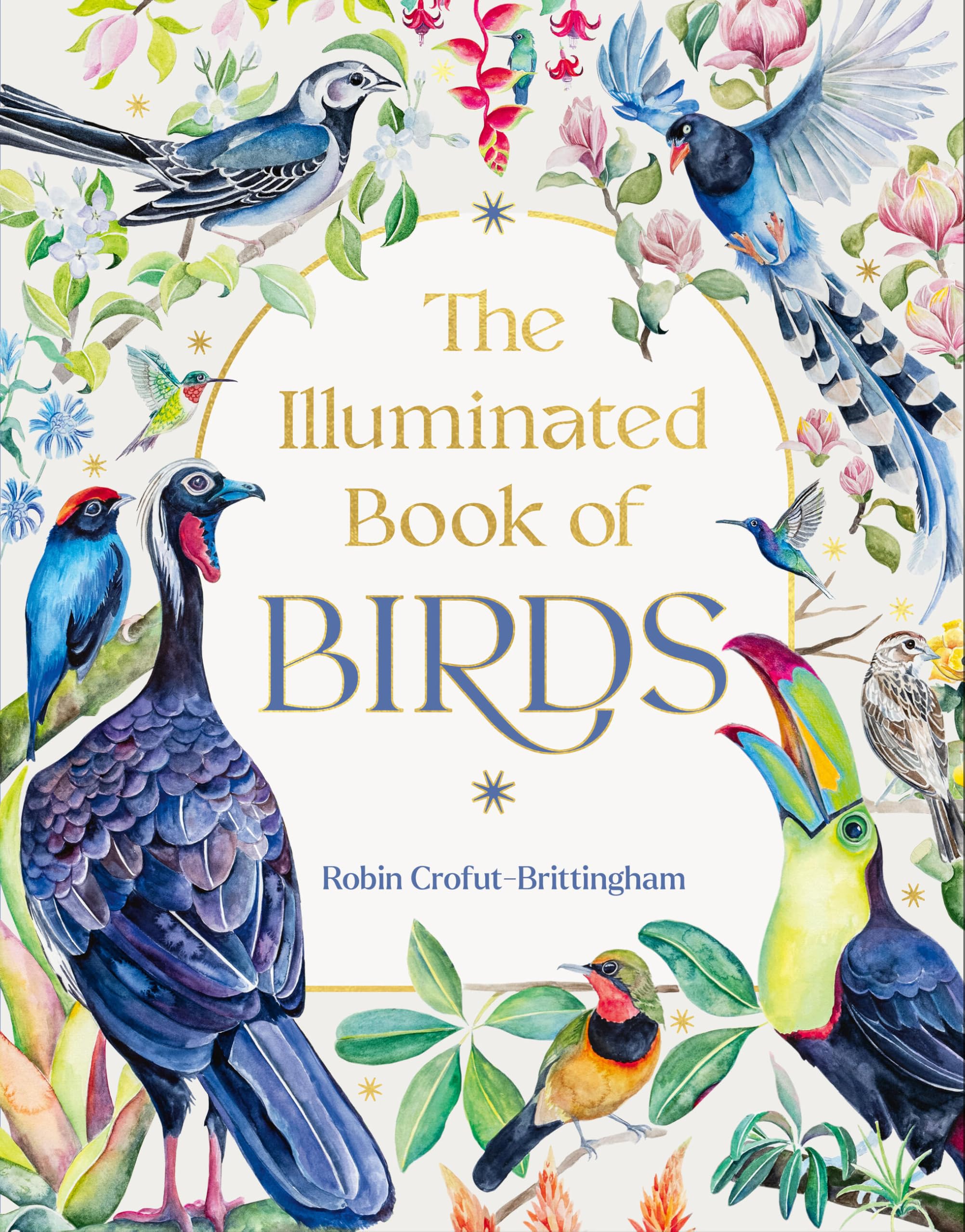 Illuminated Book Of Birds